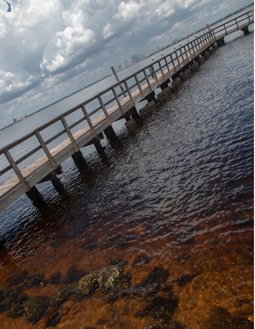 Ballast Point Park Pier in South Tampa.
