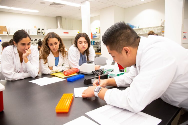 Students research phages at USF which may be able to kill bad bacterias in water supplies and help fight antibiotic-resistant diseases.