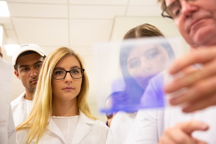 Students study phages that may be able to kill antibiotic resistant strains of bacteria during a microbiology class at USF.