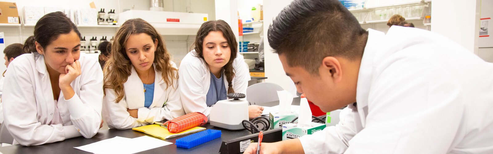 Students research phages at USF which may be able to kill bad bacterias in water supplies and to help fight antibiotic-resistant diseases.