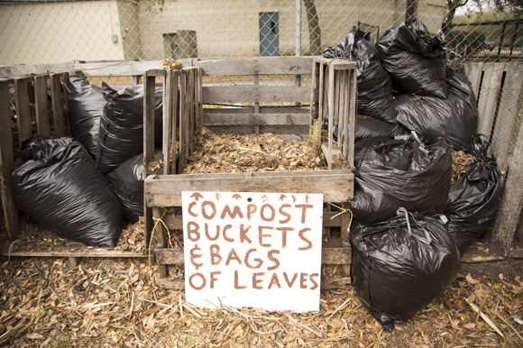 Compost bins at the Sustainable Living Project. - Julie Branaman