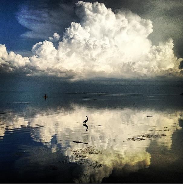 Tampa Bay. - James Branaman