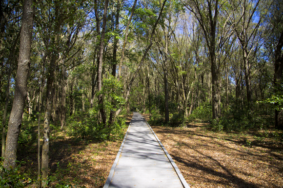 The trail that leads to the school garden. 