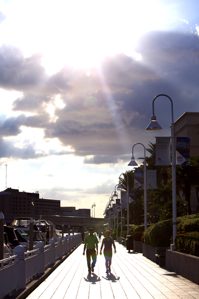 The Tampa Riverwalk near The Marriott.