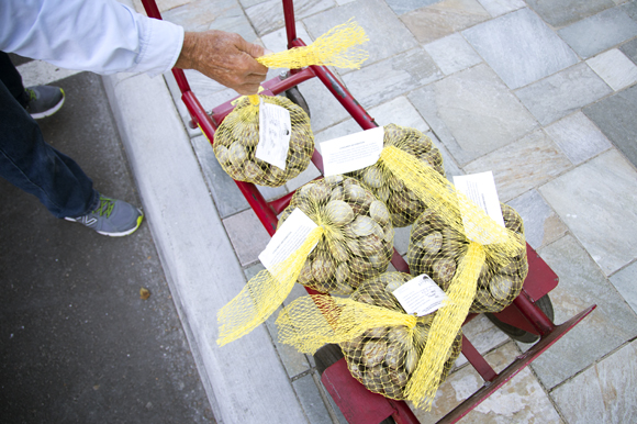 Aaron Welch II delivers Two Docks clams to Locale Market in St Pete. 