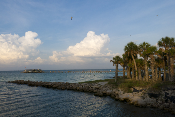 City Pier at Anna Maria Island is a potential ferry stop.  