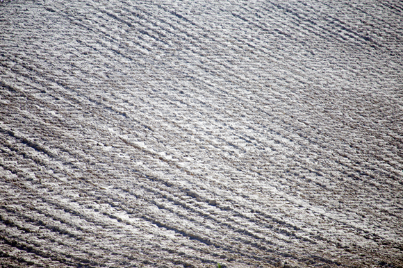 Gypsum at TECO. 