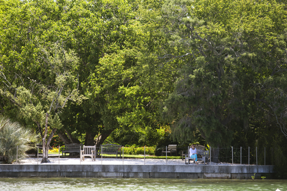 Selby Gardens seawall. 