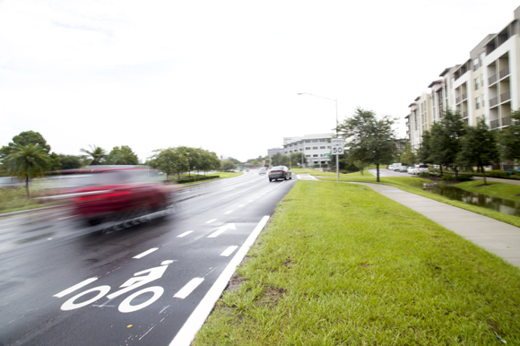 Bike lane along Boy Scout Blvd. 