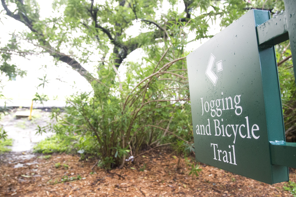 Bike and Jogging trail near the Grand Hyatt in Tampa. 