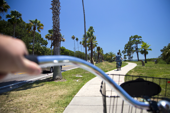 Biking along the waterfront in Dunedin.