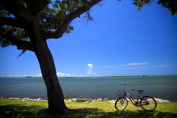 Biking in Dunedin.