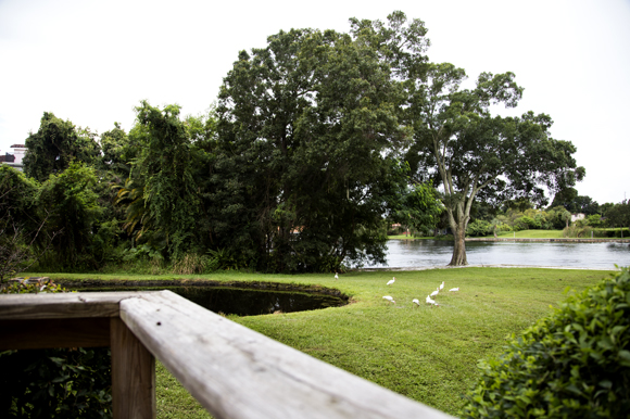 Franciscan Center of Tampa. 