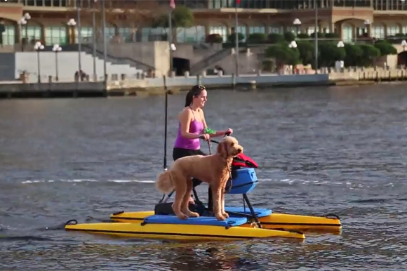 Tampa Bay Water Bike Company.