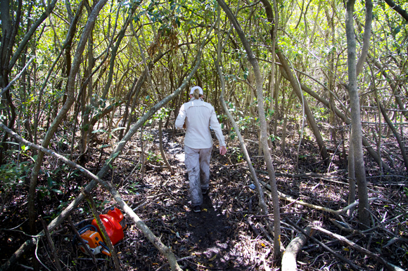 Lindsay Cross, Environmental Science and Policy Manager at Tampa Bay Estuary Program walks the Feather Sound site.