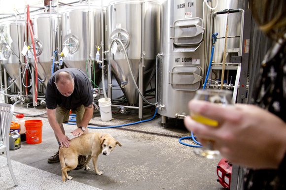 Tour at Cigar City Brewing.