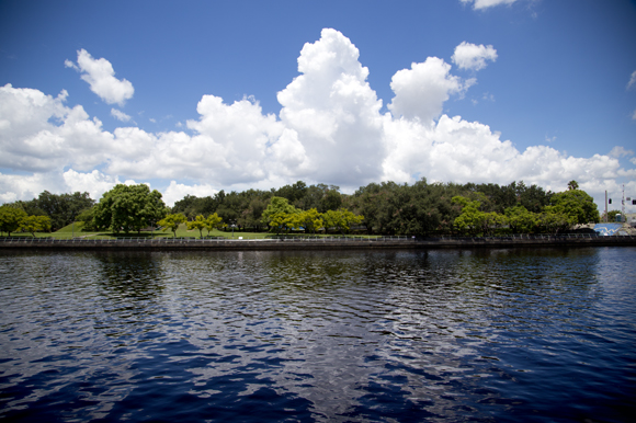 View of Julian B. Lane Riverfront Park in Tampa.