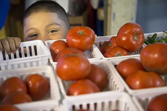 Armando Rocha, five, is one of Jose and Reyna Rocha's 42 grandkids. 