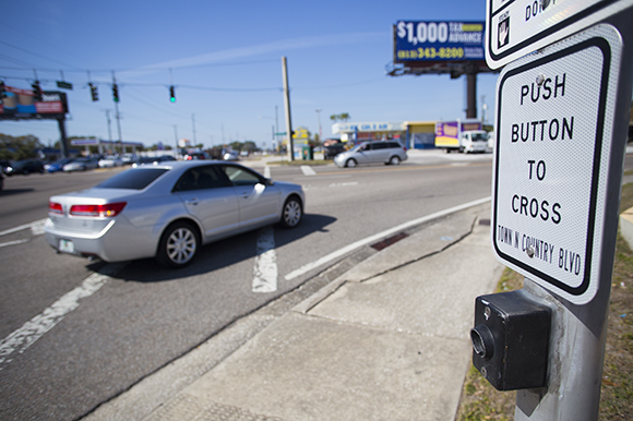 Hillsborough Ave. at Town 'N' Country Blvd.