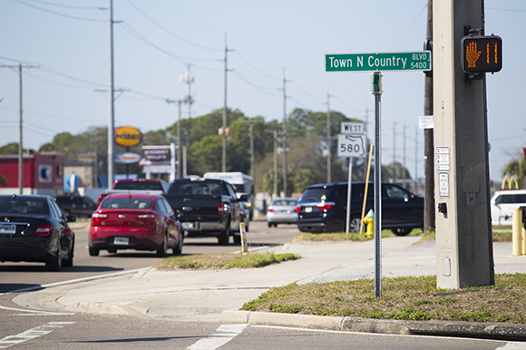 Hillsborough Ave. at Town 'N' Country Blvd.