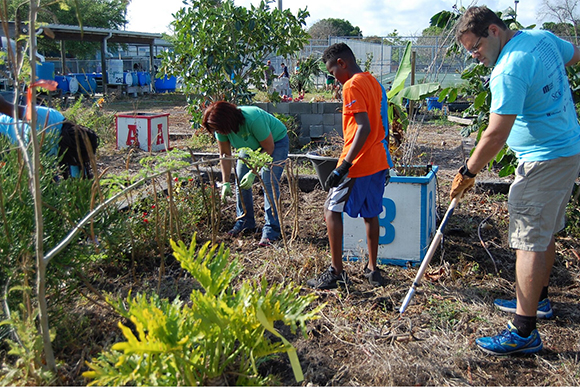 Urban Farming at Lincoln Middle School, Palmetto, FL. Millennial Con Day of Service 2017.