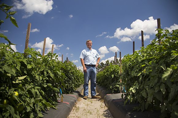 Dr. Gary Vallad, Associate Professor of Plant Pathology at University of Florida, Wimauma.