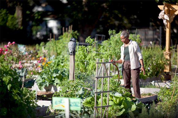 Tampa Heights Community Garden.