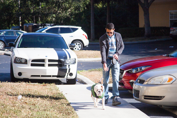 Kevin Estrada and his bull-dog George were evacuated separately due to Puerto Rico's devastation.