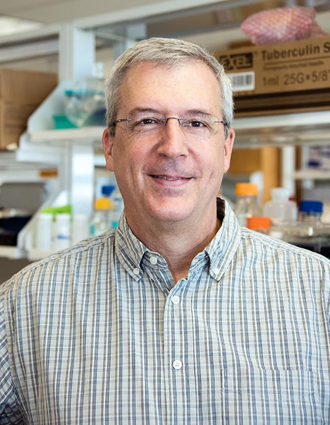 John H. Adams, Ph.D., Distinguished USF Health Professor and Dir., of Center for Global Health and Infectious Disease Research 