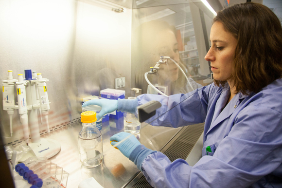 Debbie Livorsi, a senior biology scientist at USF, conducts malaria research inside the lab at the Interdisciplinary Research Building at USF in Tampa. 