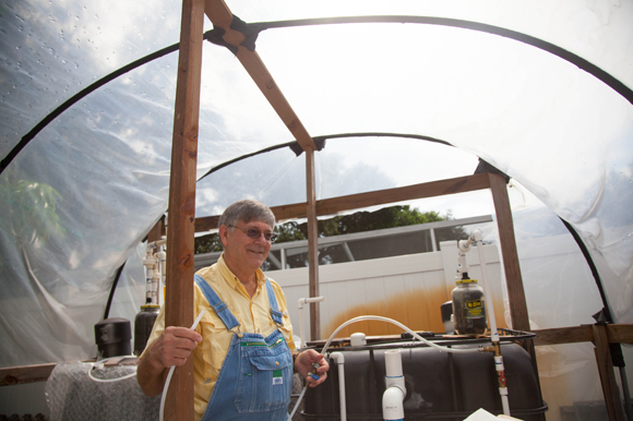 Ken Black believes moringa trees can save Florida farms at risk due to failed citrus crop.