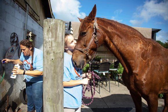 Erika Gilbert, left, and Hannah Hultgren bathe rescue horse Shade.