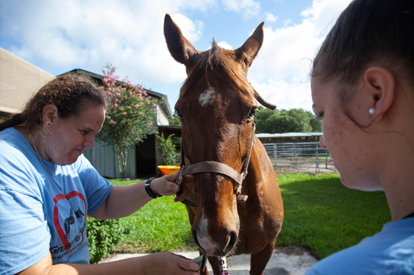 Erika Gilbert and Hannah Hultgren saddle Shade up to head to his new home.