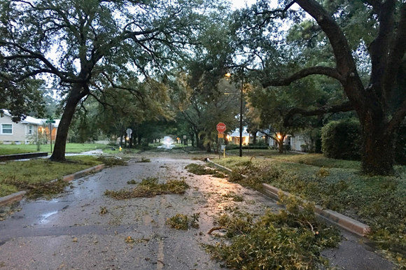 Street littered with branches and leaves in the aftermath of Hurricane Irma in Tampa in 2017.