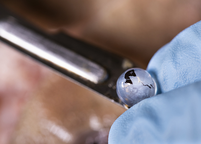 The lens in a fish eye resembles a tiny spherical ball.