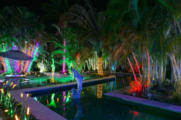 Florida Botanical Gardens Features Dazzling Lights Nature And