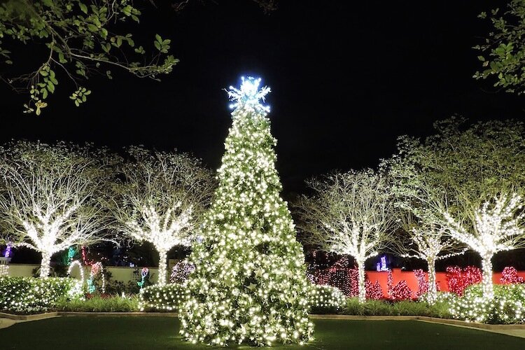 Florida Botanical Gardens Features Dazzling Lights Nature And