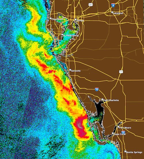 This September 2021 satellite image from the Optical Oceanography Lab depicts a large red tide harmful algae bloom (shown in red and yellow) in the Gulf of Mexico spanning Hillsborough to Charlotte County, as well as parts of Tampa Bay.