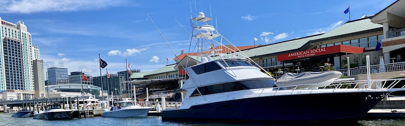 American Social and Jackson’s Bistro on Harbour Island are hopping most days and nights as local patrons seek waterfront dining.