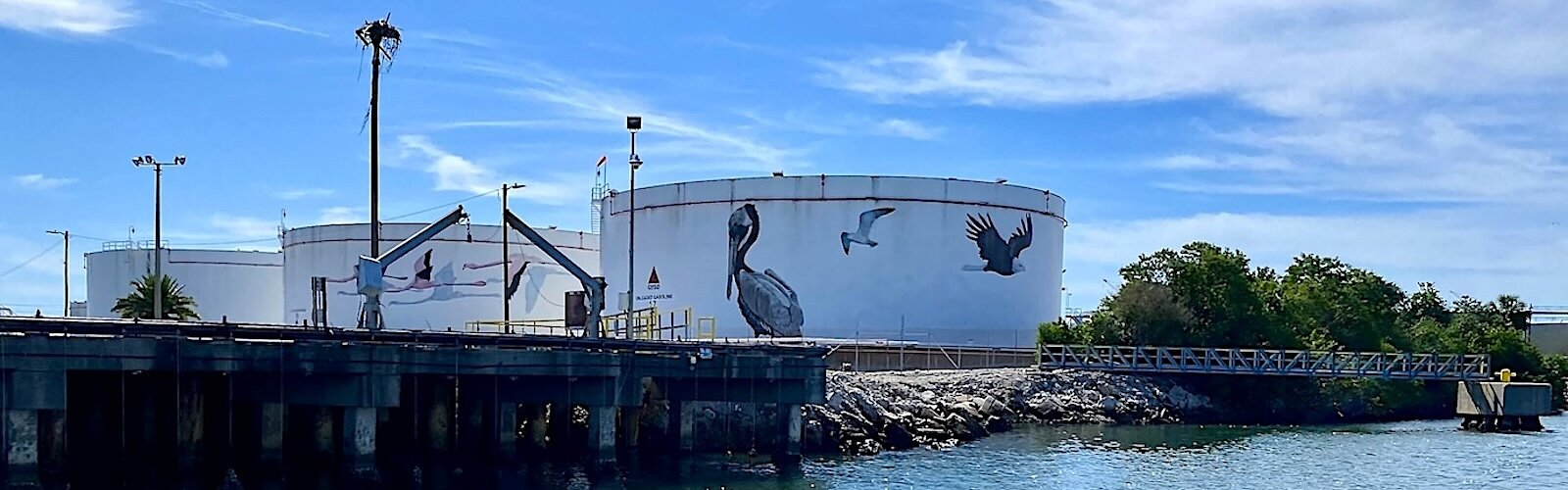 Eagles nesting high atop a light pole keep watch over industrial tanks at Port Tampa Bay.