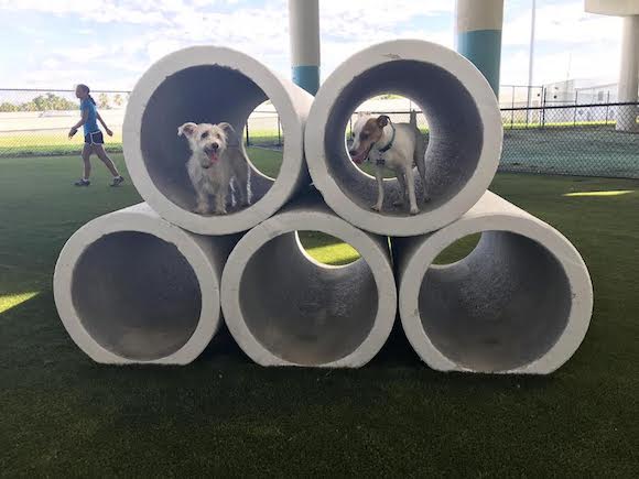 Deputy Kotfila Memorial Dog Park across from Bell Channelside.