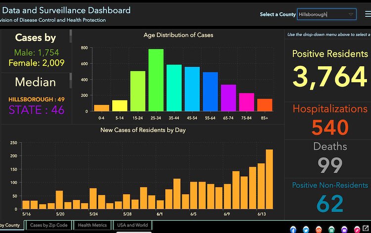 COVID-19 cases and deaths in Hillsborough County as of June 15, 2020.