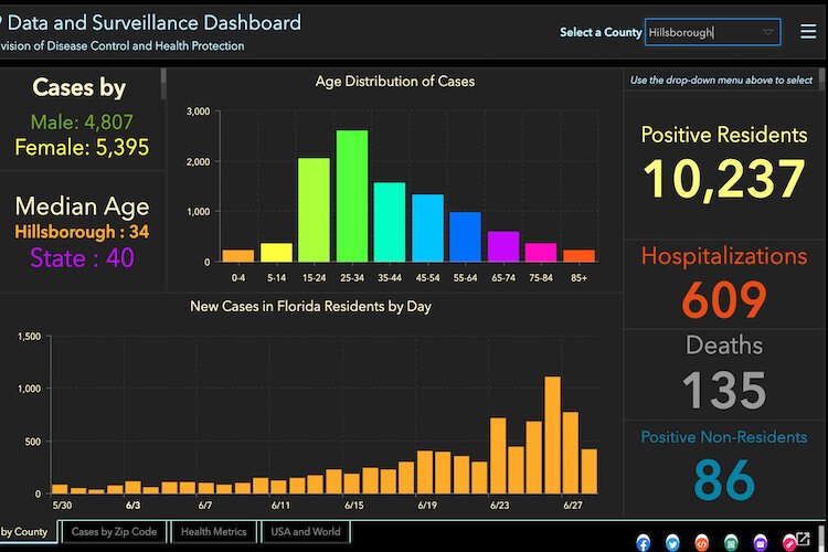 COVID-19 cases in Hillsborough County as of June 29, 2020.