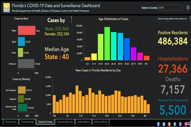 Demographics of Florida COVID-19 cases as of Aug. 3, 2020.