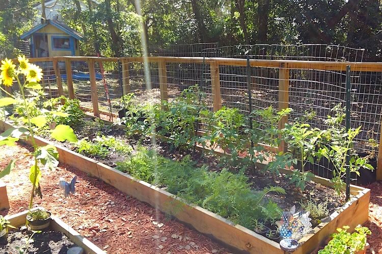 Kate Walkling grows her own food and shares with neighbors when she has extra.