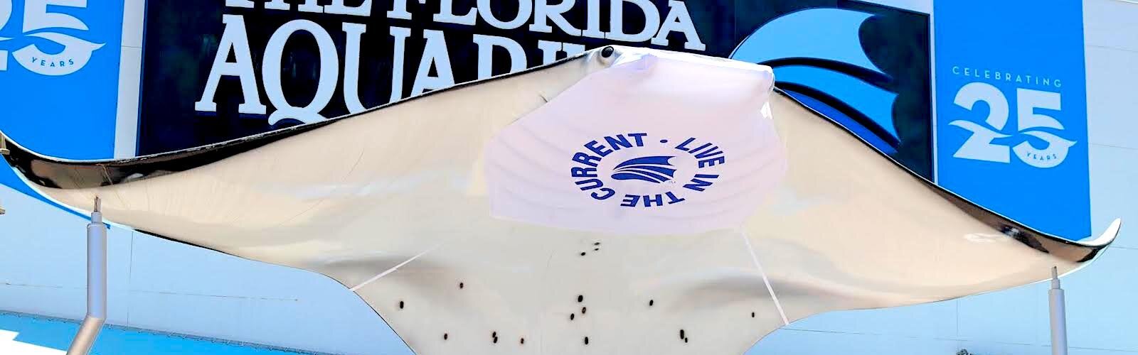 A masked manta ray greets visitors to The Florida Aquarium in Tampa with new rules on social distancing.