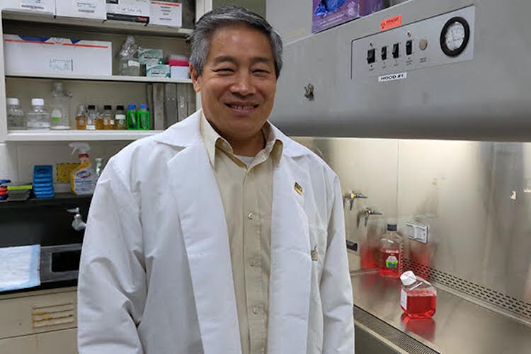 Dr. Michael Teng, PhD, Associate Professor, College of Medicine Molecular Medicine, USF Health.