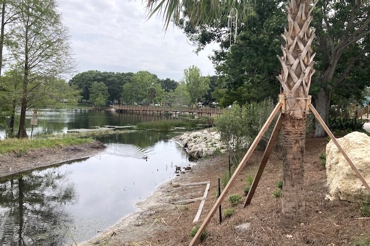 Newly planted trees will soon take root in Crest Lake Park.