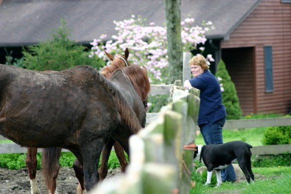 Nealia McCracken, founder of Saddlebred Rescue in New Jersey, looks over a new crop of rescues quarantined at the facility.