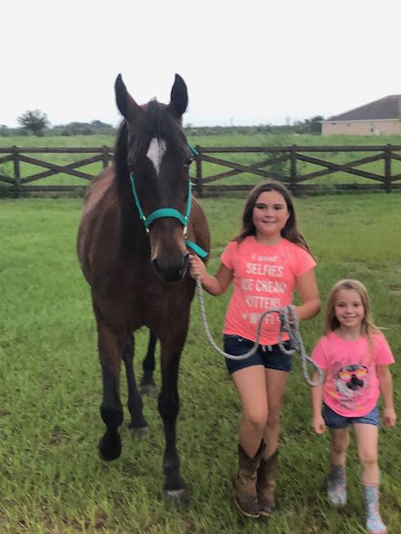Erika Gilbert purchased Wintercreek Sugar and Spice, a daughter of William Shatner's famous stallion Sultan's Great Day, directly from a Pennsylvania Amish family that did not want to send her to slaughter when her buggy days were over.